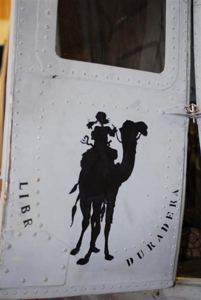 Bell-212 special marking.JPG